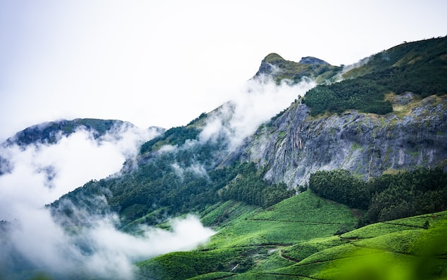 Kochi Hills Trekking